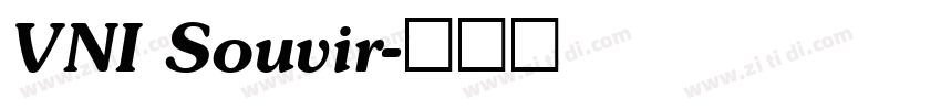 VNI Souvir字体转换